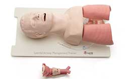 Airway Trainer -Laerdal