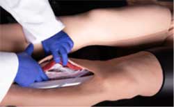 Fasciotomy Trainer