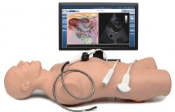 Ultrasound Training